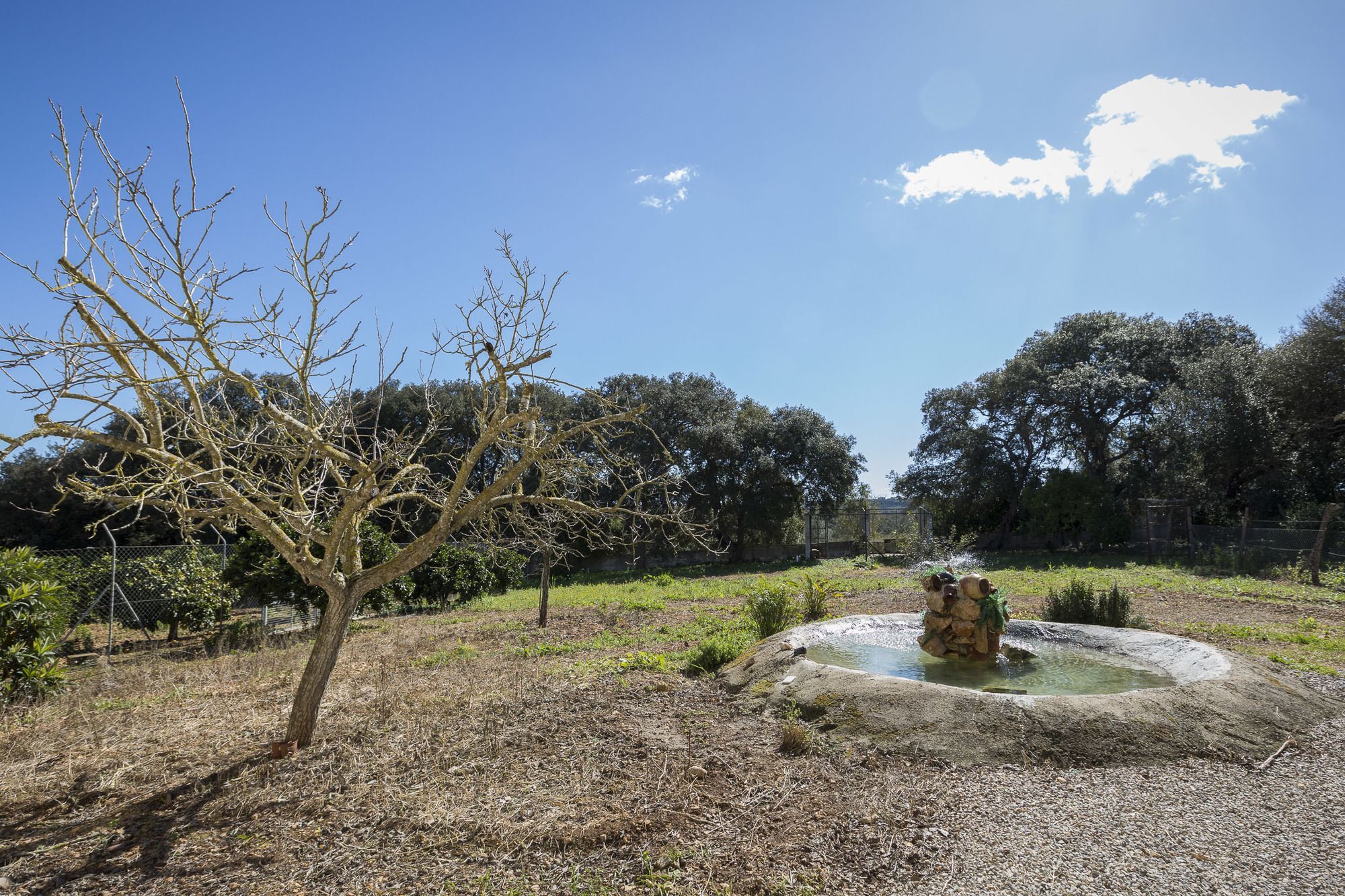 Ca Na Flores Villa Llubí